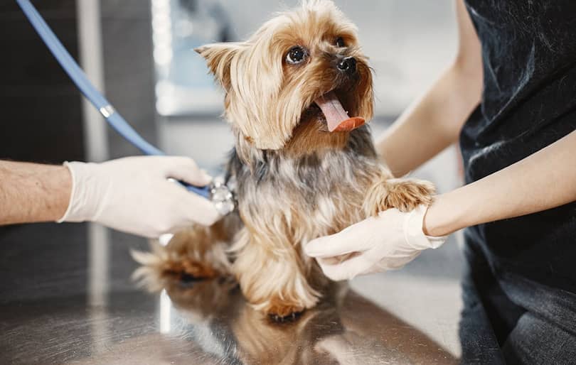 truebooker animals appointments booking scheduler